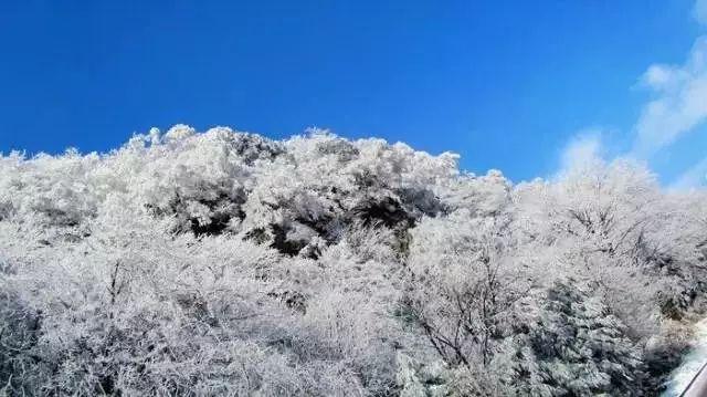 动物帮帮忙保卫家园