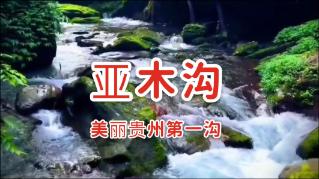 从古至今国人所吃的蔬菜都是哪些植物?-知识星球平台,探索无限知识的新世界!