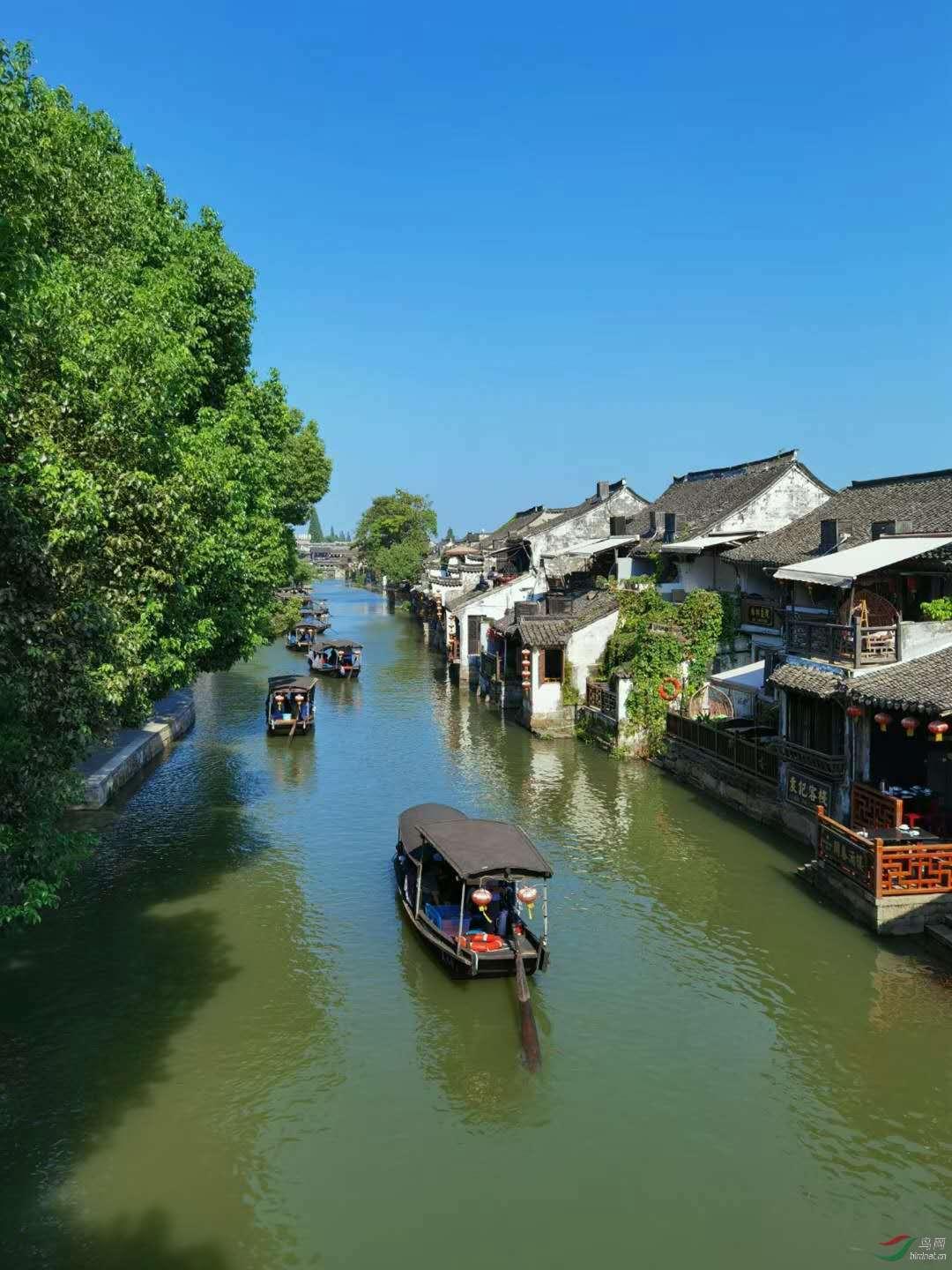 动物拼一拼